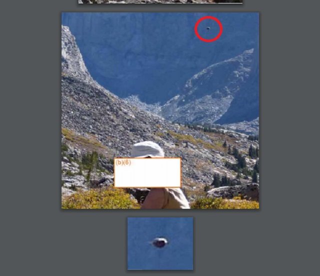 食人エイリアンの米秘密基地が森林局機密文書で判明?切断された人間の頭部?の画像もの画像1